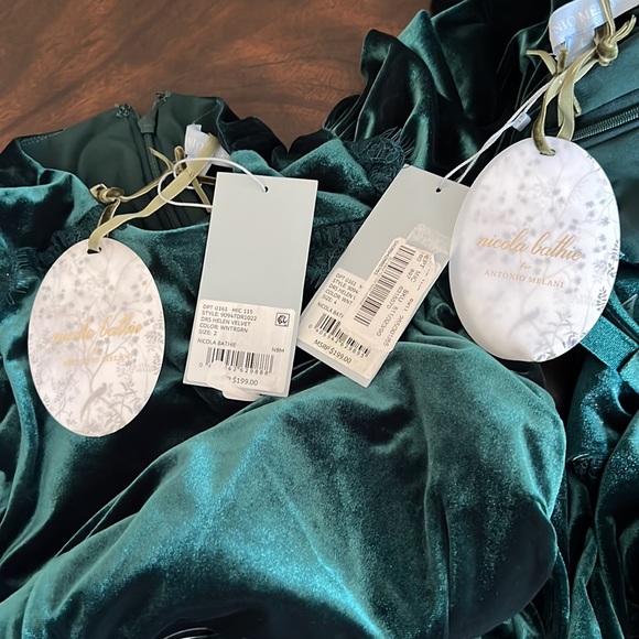 Antonio Melani x Nicola Bathie Helen Stretch Velvet Jewel Neck  Midi Dress. - Picture 15 of 16